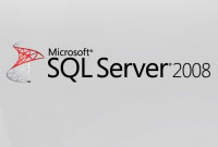 Microsoft SQL Server 2008 Standard Edition for Small Business CAL (DAC-00089)